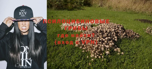a pvp Белокуриха