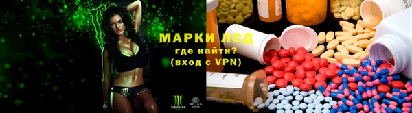 a pvp Белокуриха